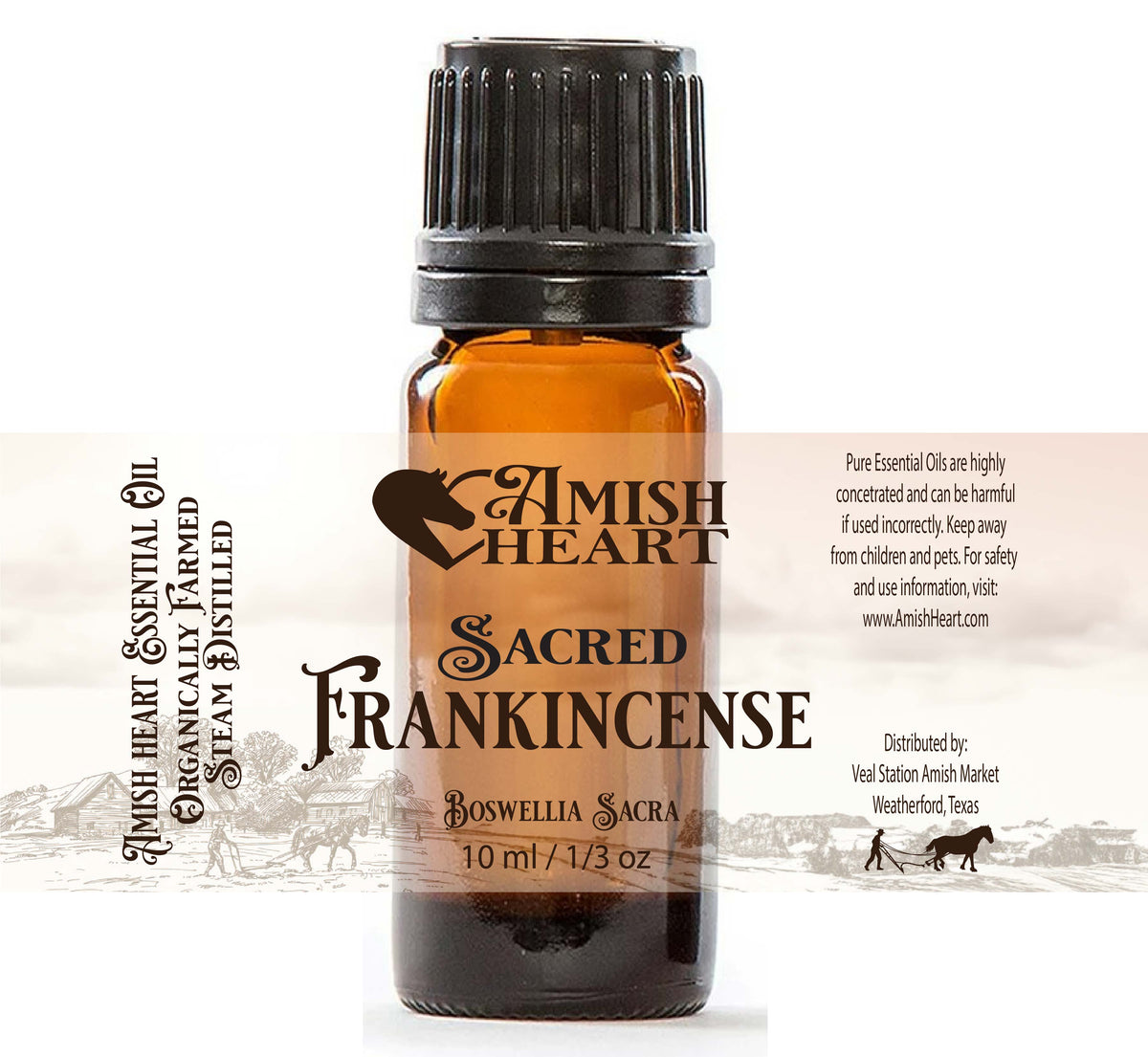 sacred-frankincense-